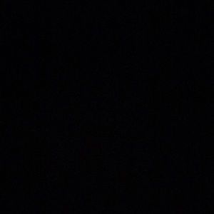 Meet your Posher, Jerry